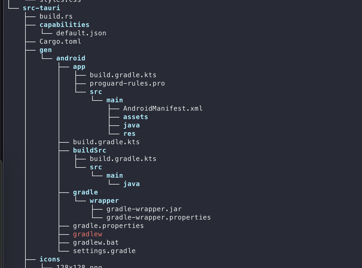 Tauri Android Project Structure